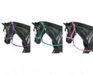 Browse Three Pastel Coloured Nylon Halters - Traditional Scale