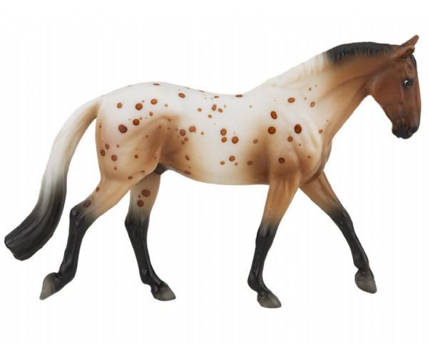 Appaloosa Sport Horse - Stablemate