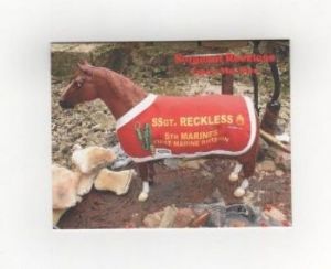 Browse Sergeant Reckless Notecards